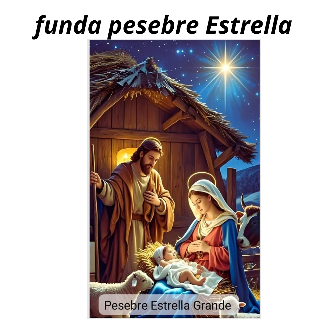 Funda Navideña Mágica para Puerta